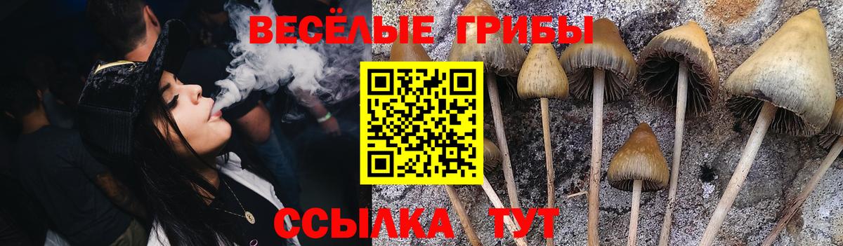 Губаха  купить закладку  Вход с VPN  Псилоцибиновые грибы MAGIC MUSHROOMS  Галлюциногенные грибы прущие грибы 