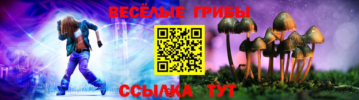 Псилоцибиновые грибы Psilocybe Губаха